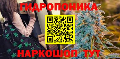МДПВ Кунгур