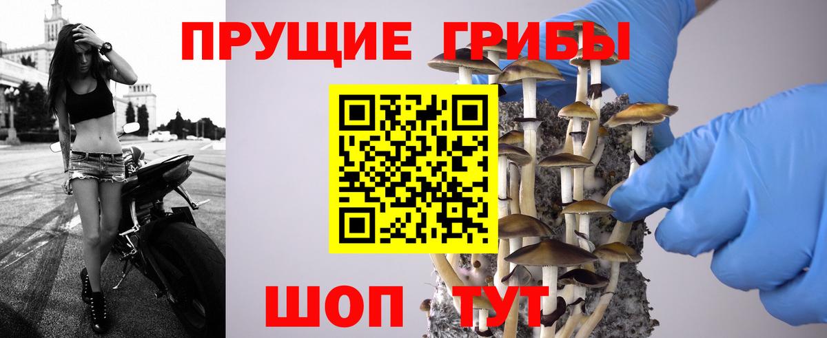 Псилоцибиновые грибы Magic Shrooms  Вход с VPN  Бугуруслан 